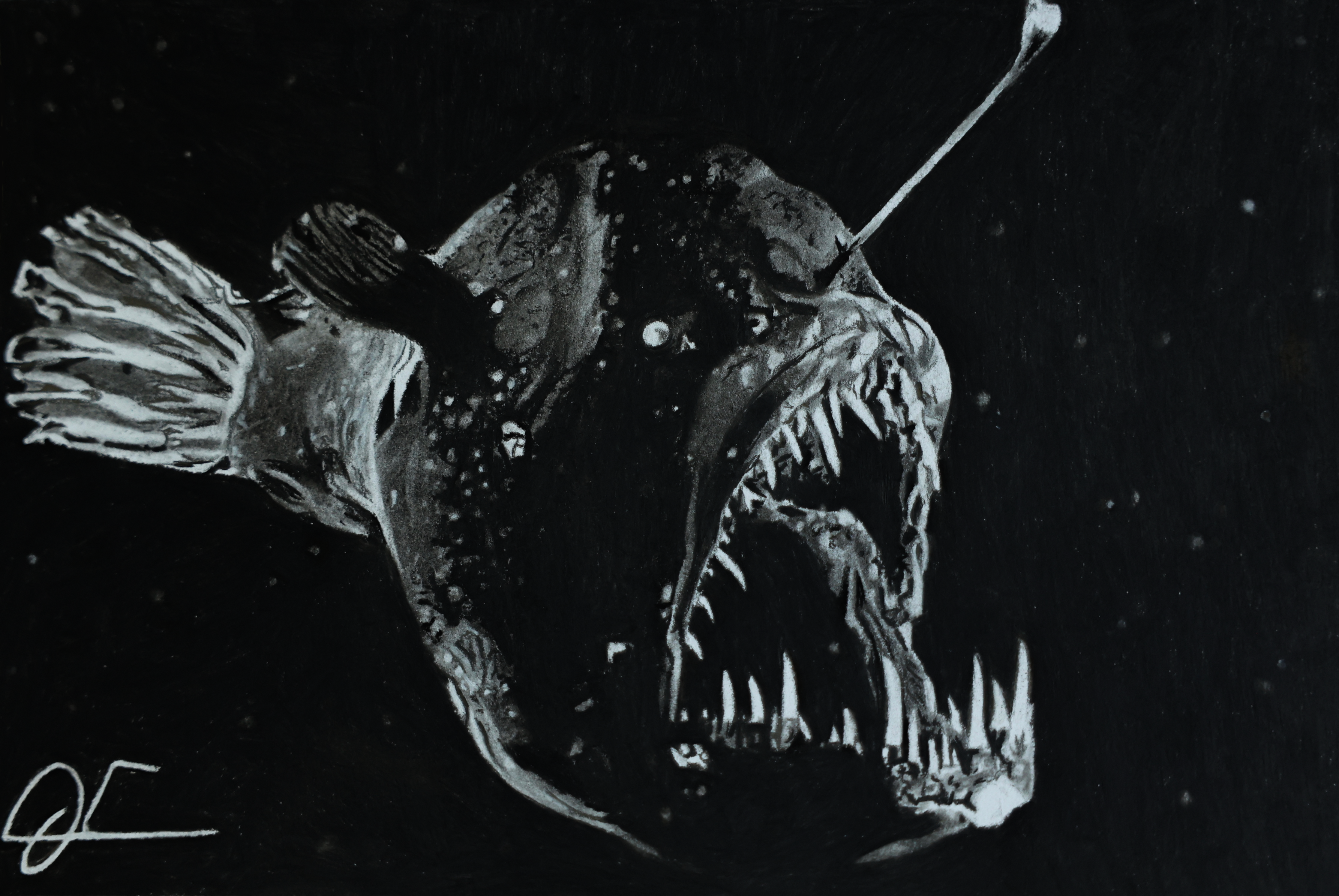 anglerfish drawing