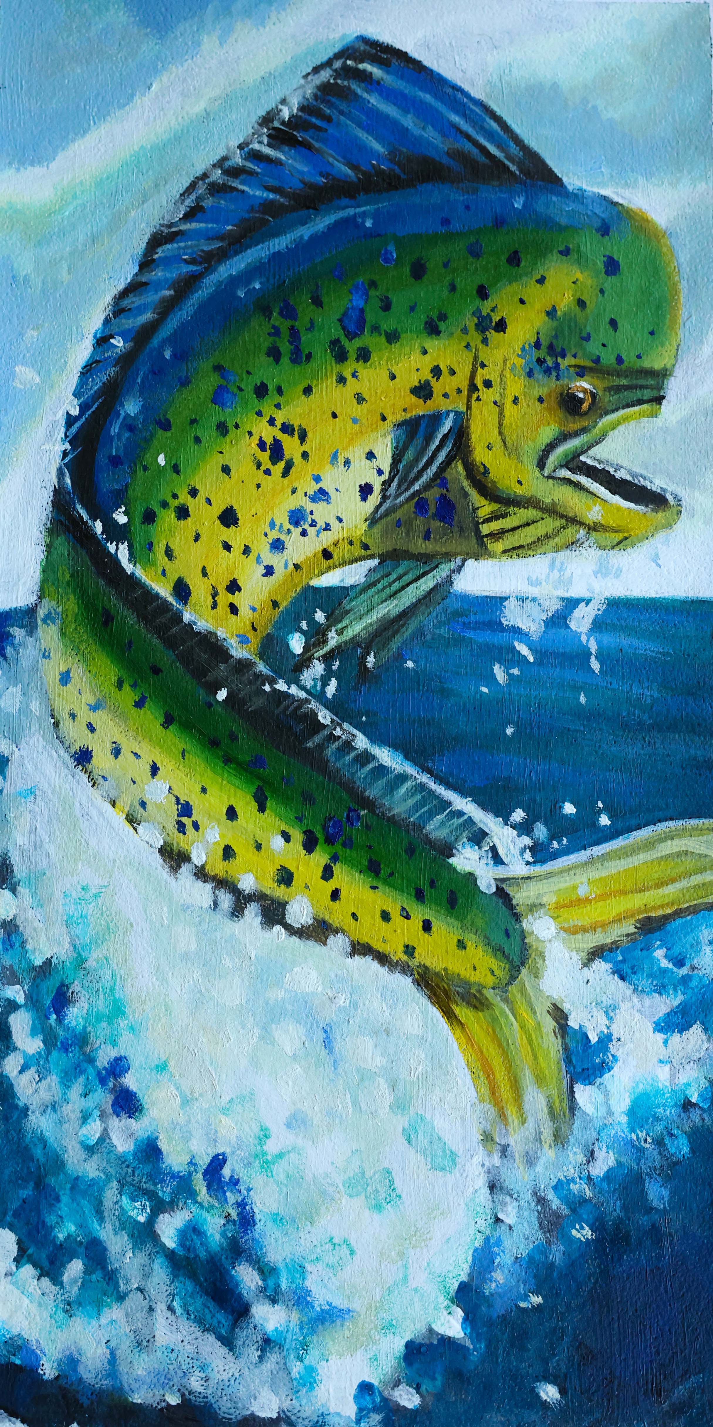 mahimahi drawing